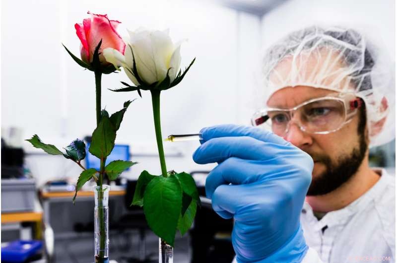 Harnessing Organic Electronics to Regulate Plant Physiology