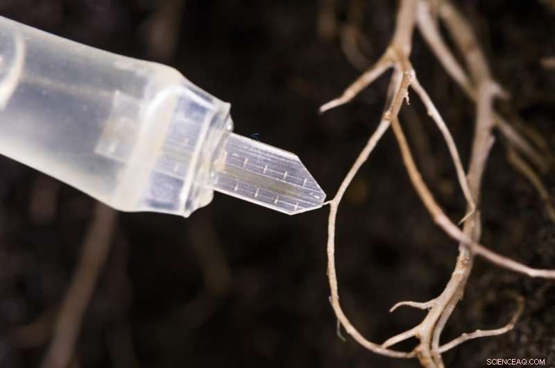 Harnessing Organic Electronics to Regulate Plant Physiology