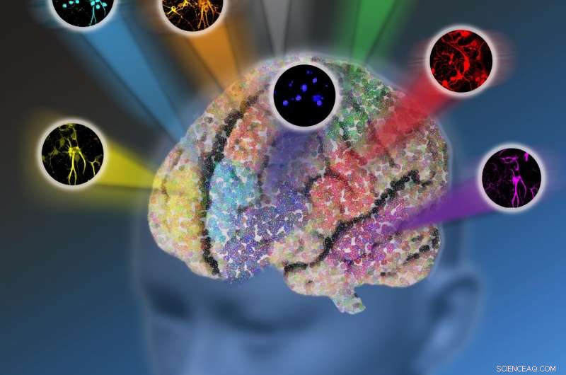 Revolutionary Microscopy Technique Breaks Color Barrier in Optical Imaging