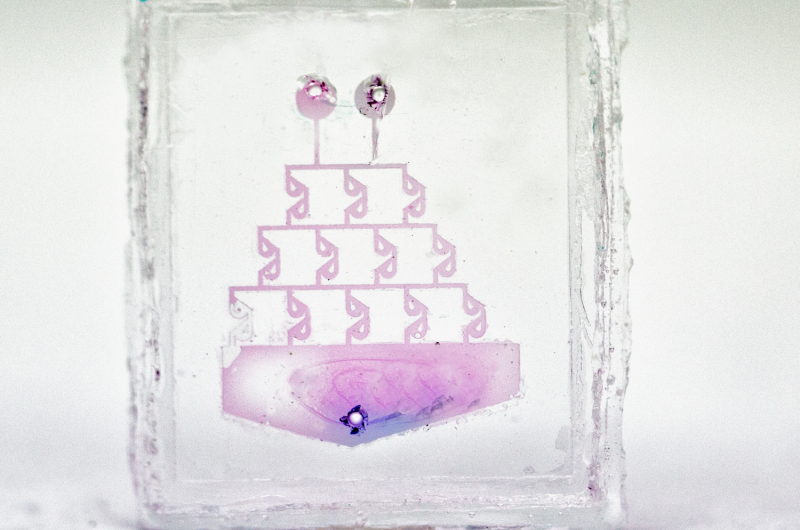 Revolutionizing Glass: 3D Printing Pure Glass Objects at Karlsruhe Institute