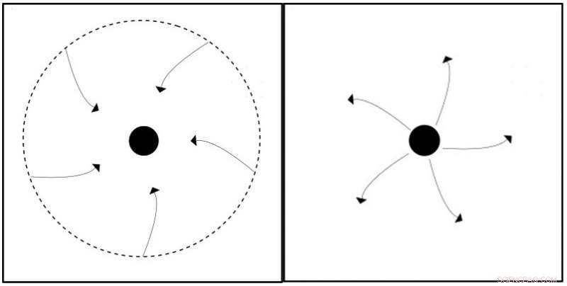 Can We Observe a Singularity? Exploring the Universe s Most Extreme Phenomenon