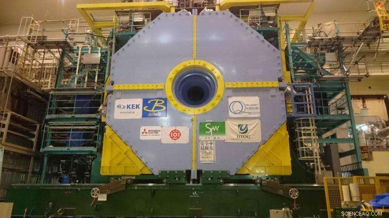 Belle II Collaboration Integrates Detector and Accelerator to Probe Physics Beyond the Standard Model