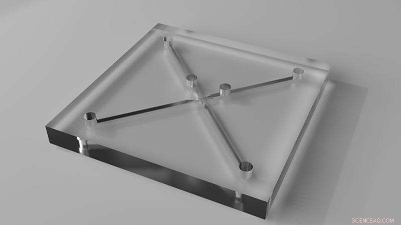 Unveiling Microscopic Dynamics of Polymeric Fluids