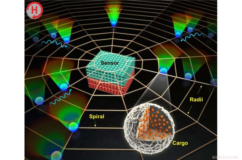 New Magnetic‑Field‑Driven Biosensor Achieves 20× Faster Detection