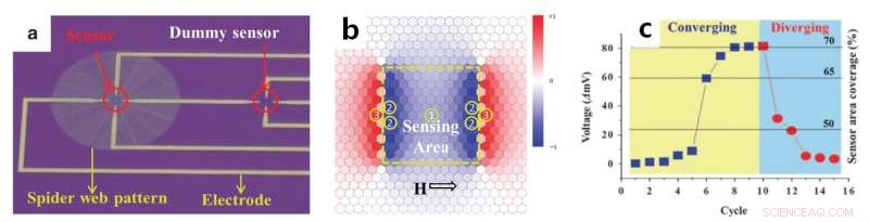 New Magnetic‑Field‑Driven Biosensor Achieves 20× Faster Detection