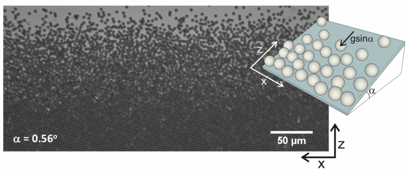 Two-Dimensional Hard Sphere Melting Observed: A 60-Year Experimental Milestone