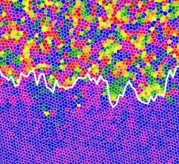 Two-Dimensional Hard Sphere Melting Observed: A 60-Year Experimental Milestone