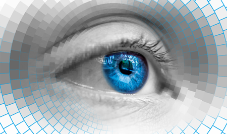 Revolutionary Camera System Mimics Animal Vision for Enhanced Image Capture