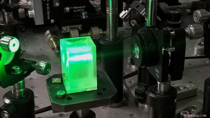 Scientists Use Holography for Rapid Particle Distribution Estimation in Transparent Media