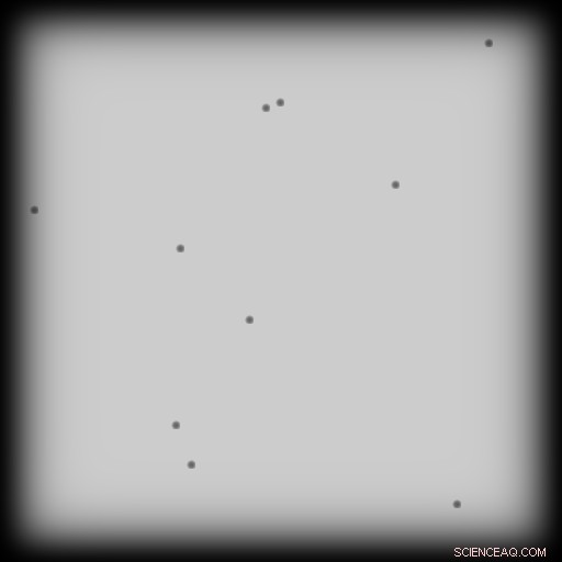 Scientists Use Holography for Rapid Particle Distribution Estimation in Transparent Media