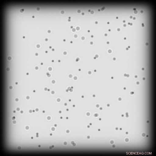 Scientists Use Holography for Rapid Particle Distribution Estimation in Transparent Media