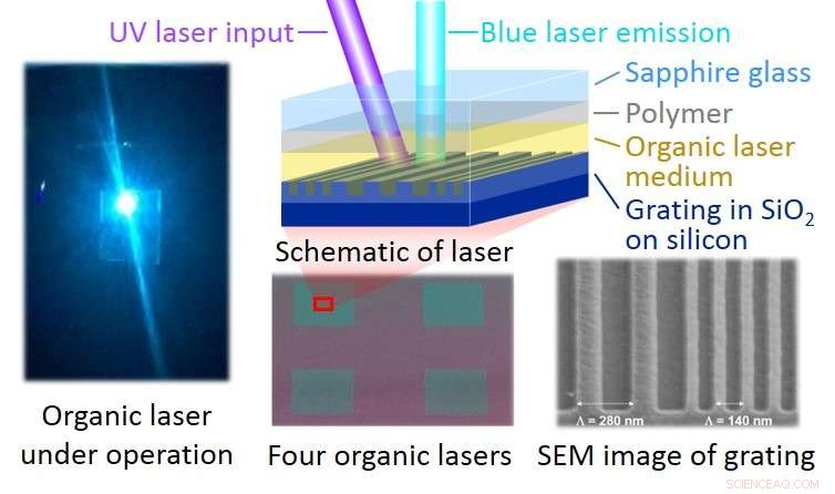 Advancing Organic Lasers: A Breakthrough Brings Us Closer to Practical Applications