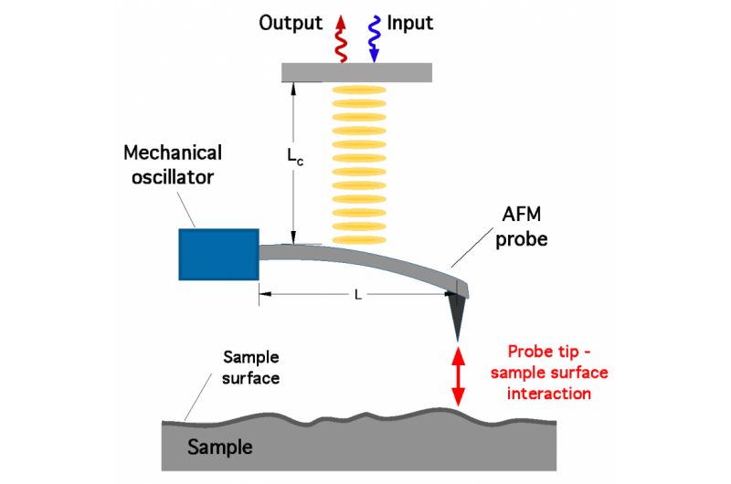 Harnessing Quantum Squeezing for Precision Atomic Force Microscopy