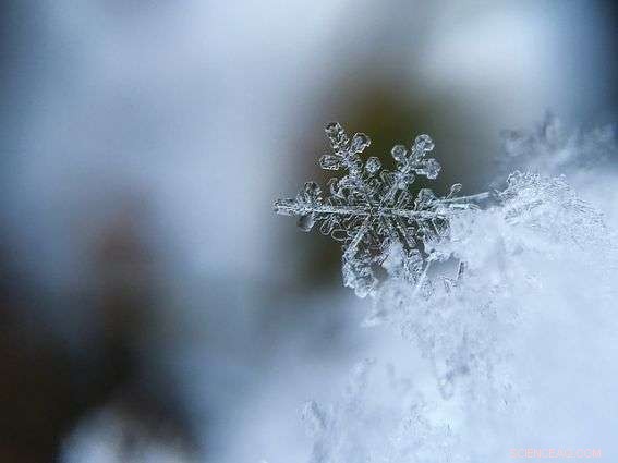 The Science Behind Snowflakes: How They Form and Shape Our World