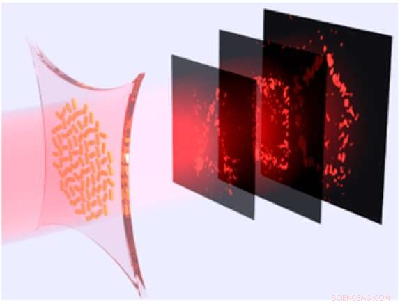 Stretchable Holograms Switch Seamlessly Between Multiple Images