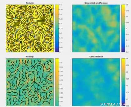 Liquid Crystals & Bacteria: How Living Materials Self-Organize and Move