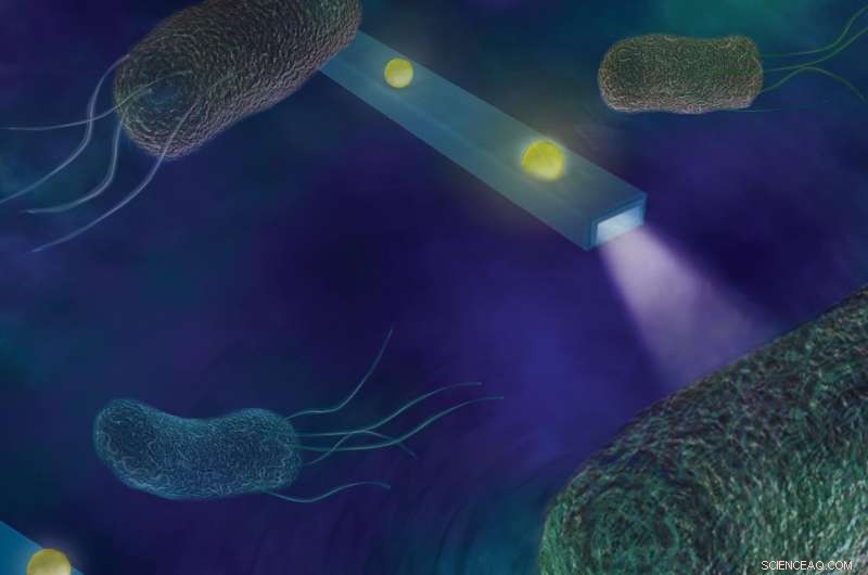 Nanofiber Detects Cellular Forces and Sounds with Unprecedented Sensitivity