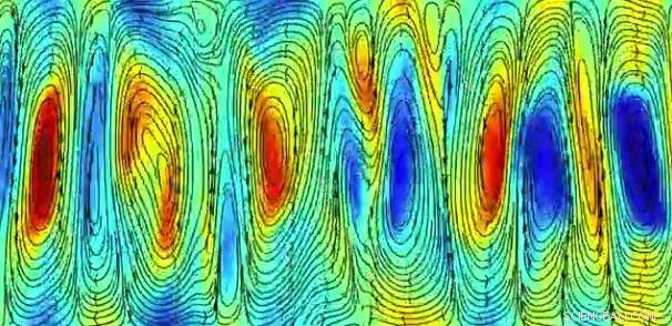 Bacterial Swarms Reveal New Clues About Turbulence
