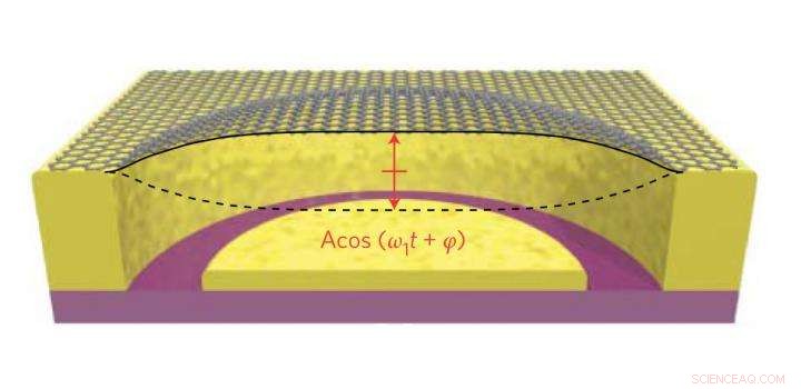 Energy Dissipation Dynamics in Graphene Resonators