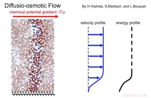 Unveiling Osmosis: Key Insights for Medical and Industrial Applications