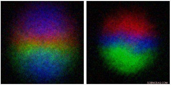 Scientists Observe Quantum Monopole Destruction for First Time