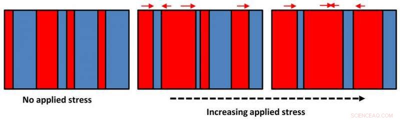 Scientists Discover Definitive Evidence of Ferroelasticity in Perovskite Materials