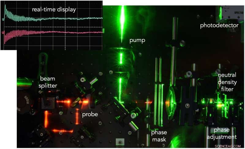 Tracking Microstructural Evolution in Materials Under Real-Time Radiation Exposure