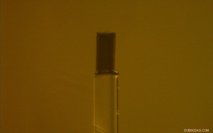 Husker Engineers Develop Microscopic Heater‑Thermometer for Precision Temperature Control