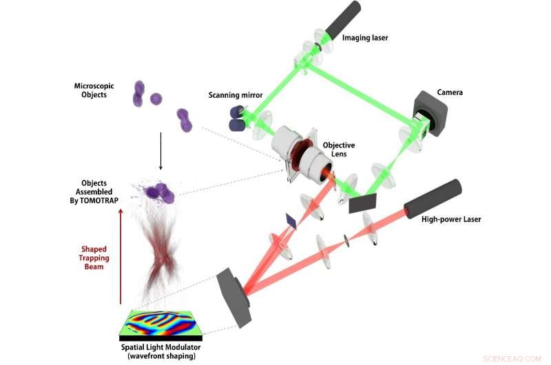 Laser Holography Enables Precise 3-D Control of Biological Cell Dynamics