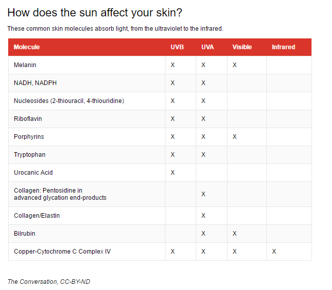 The Science Behind Sunscreen: How Chemicals Shield Your Skin from UV Damage