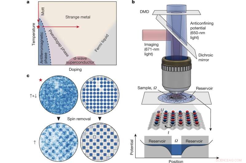 Harvard Scientists Engineer Cold-Atom Fermi–Hubbard Antiferromagnet Using Quantum Gas Microscope
