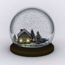 Unraveling the Physics Behind Snow Globe Particles