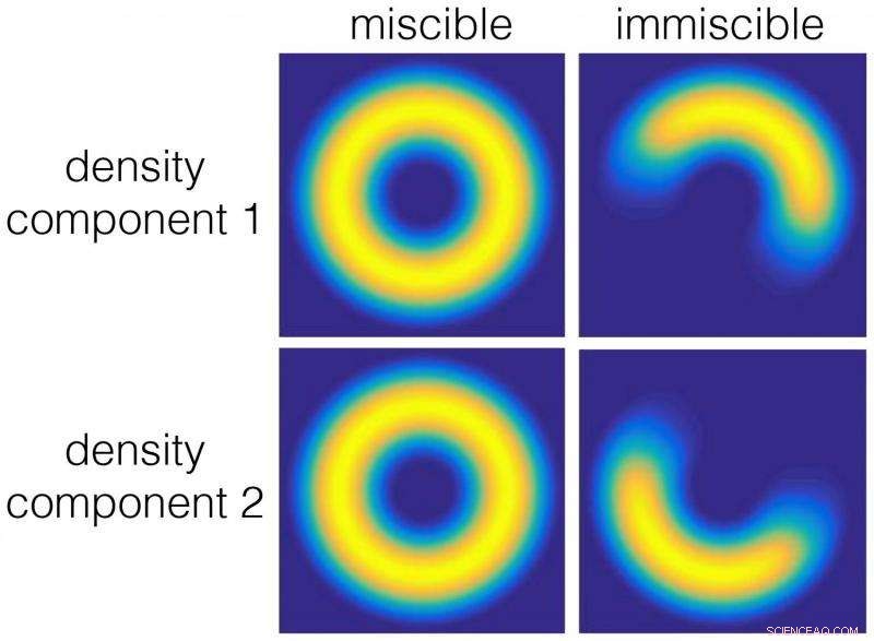 Exploring Odd-Petal States and Persistent Currents in Spin‑Orbit‑Coupled Bose–Einstein Condensates