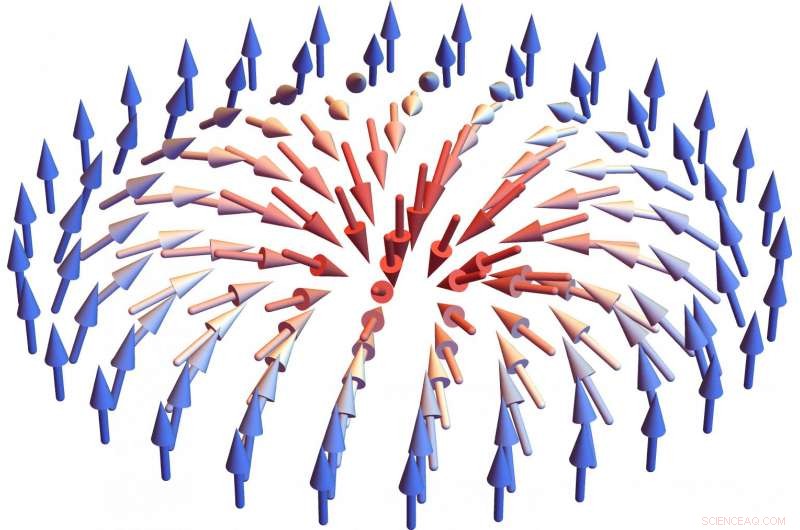 Exploring the Coordinated Spin Dynamics of Skyrmions