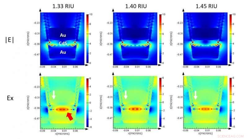 Advanced Plasmonic Sensor Enhances Early Cancer Detection Accuracy