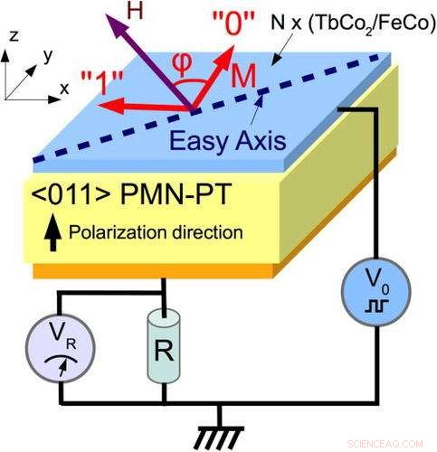 Revolutionizing Data Storage: Magnetoelectric Memory Cells Cut Energy Use