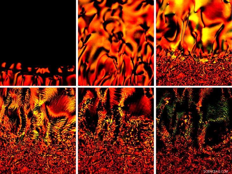 New Study Reveals How Drying Liquid Crystal Droplets Form Unusual Coffee Rings