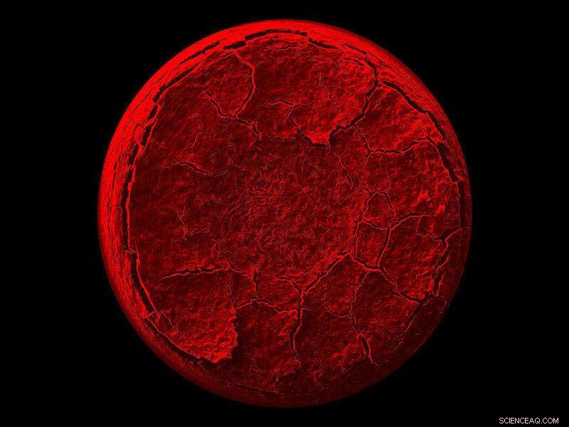 New Study Reveals How Drying Liquid Crystal Droplets Form Unusual Coffee Rings