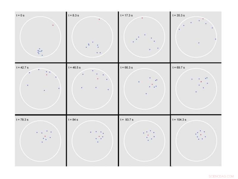 How Slow Predators Outsmart Faster Prey: Insights for Advanced Drone Tactics
