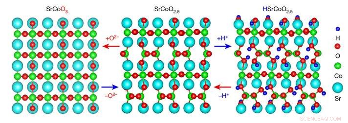 Reversible Phase Switching in SrCoO₂.₅: Tunable Electronic, Optical, and Magnetic Properties
