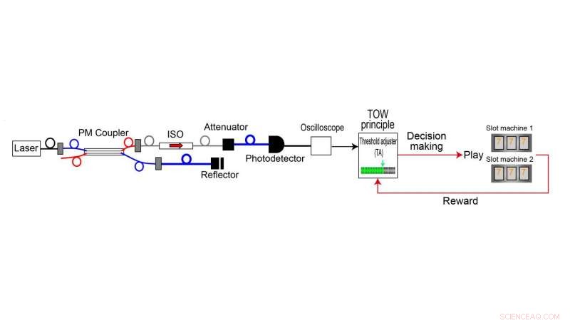 Researchers Probe Decision-Making Using Physical Phenomena