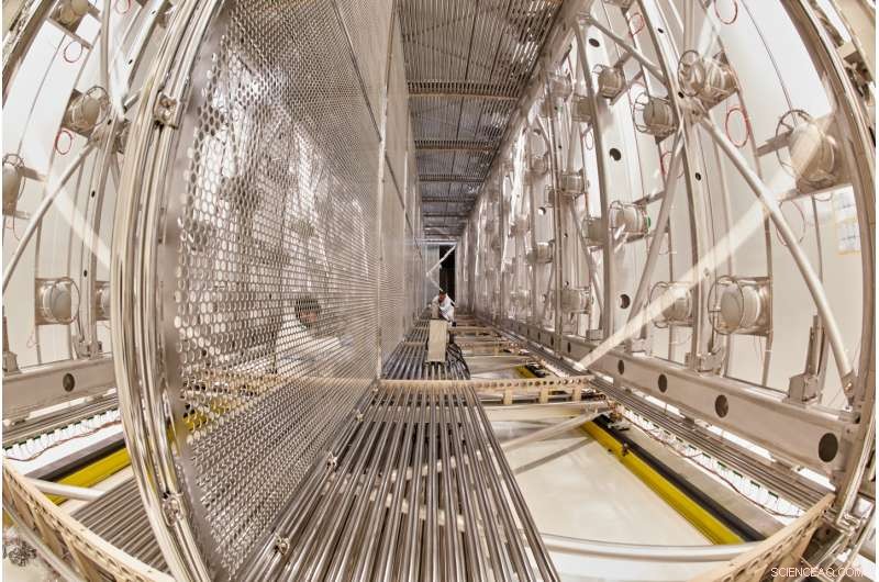 Journey of the ICARUS Neutrino Detector: From CERN to Fermilab