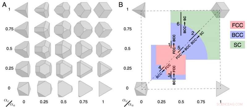 Morphology Modeling: Predicting Solid–Solid Phase Transitions via Colloidal Particle Shape Engineering