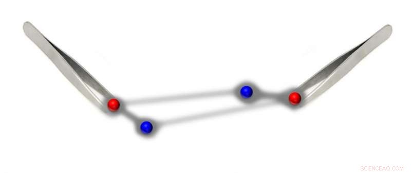 Numerical Tweezers Reveal New Insights into Nuclear Interactions