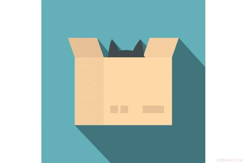 Quantum Zeno Effect and Its Influence on Schrödinger’s Cat Experiment