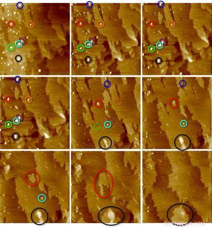 New Study Reveals Non‑Classical Pathways in Crystal Growth