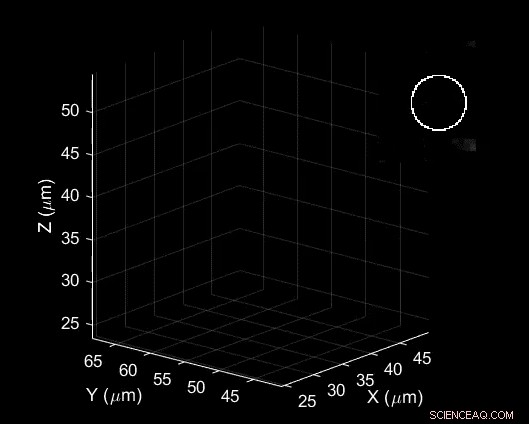 Duke s 3D Virus Camera Reveals Germs in Action