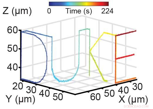 Duke s 3D Virus Camera Reveals Germs in Action