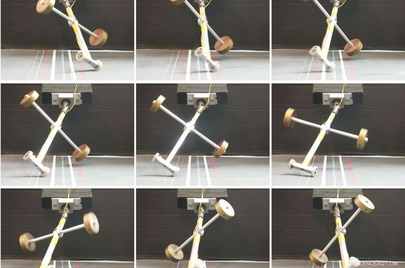 Wheeled Suitcase Wobble Decoded: Insights from a Paris‑Diderot Physics Study