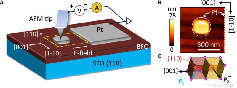 Functional Prototype of Nonvolatile Ferroelectric Domain-Wall Memory